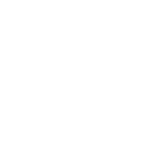 davinci